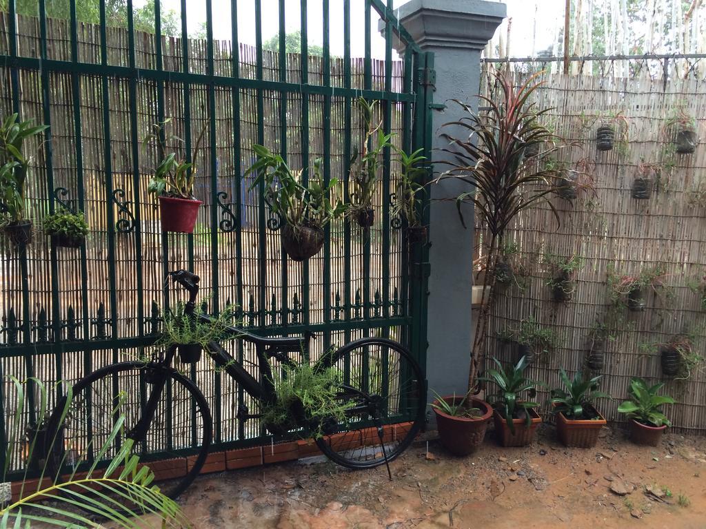 Eco-Home Siem Reap Homestay Luaran gambar